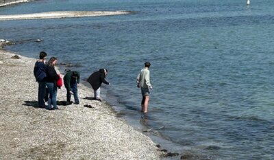 Bodensee 25