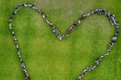 Eine Schule mit Herz - Trikottag BW an der Leintal-Schule